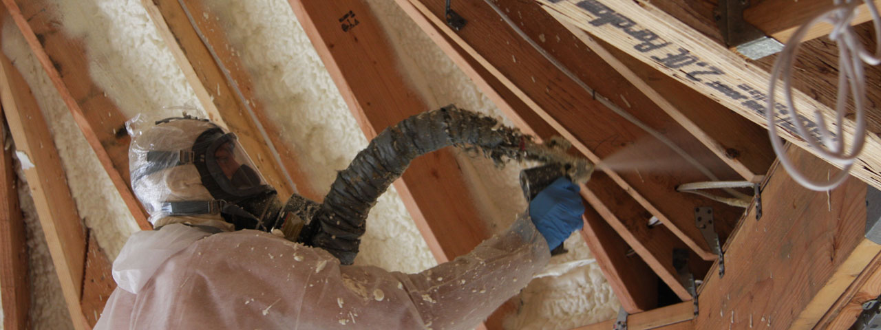 Knoxville Tennessee Attic Insulation Spray Foam
